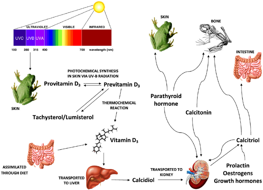 UV-LED used in printing lithography